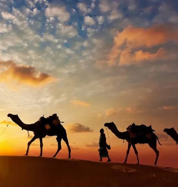 Desert Safari & Camping